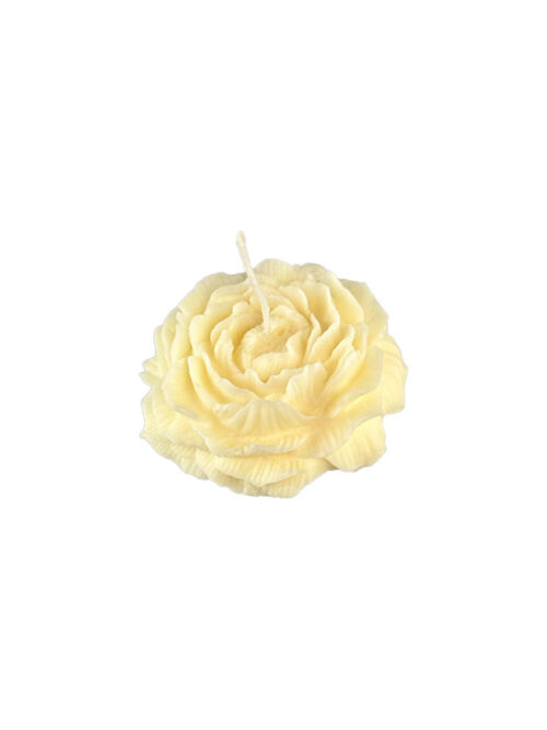 Žvakė In Rosa Vaniglia