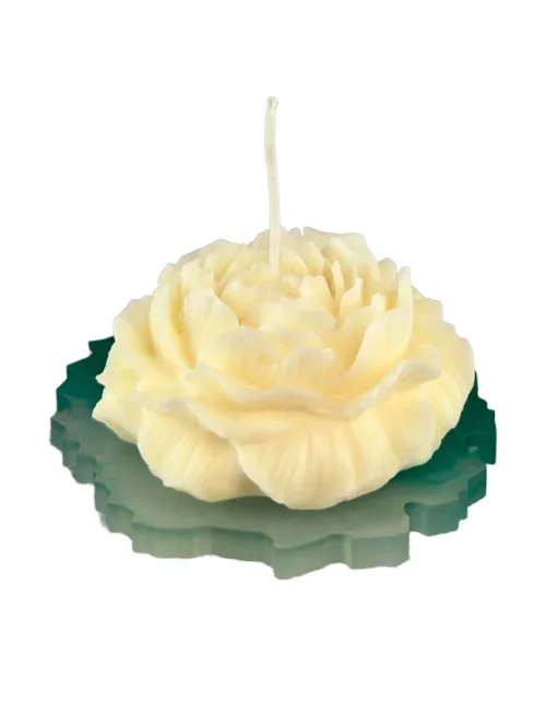 Padėkliukai MOKET x 2